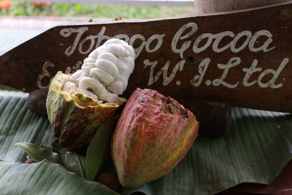 Tobago Cocoa Estate 